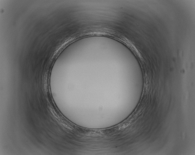 X0000082990386200702011149
