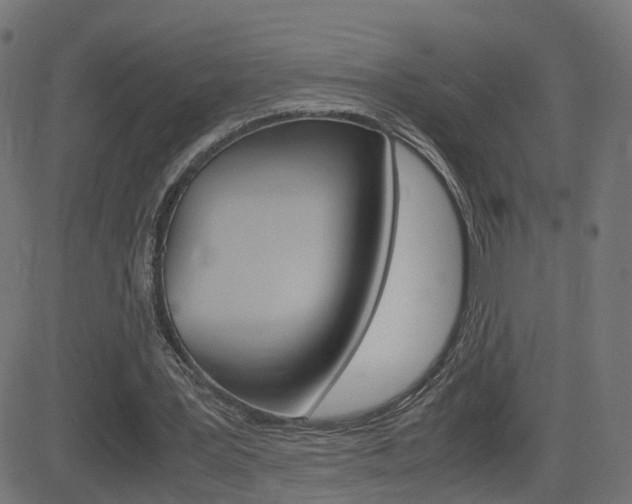 X0000082990387200702011149