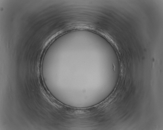 X0000082990390200702011149