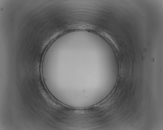 X0000082990394200702011149