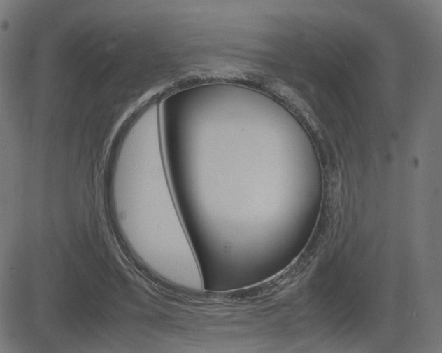 X0000082990395200702011149