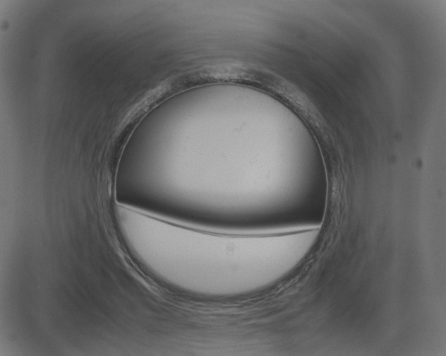 X0000082990397200702011149