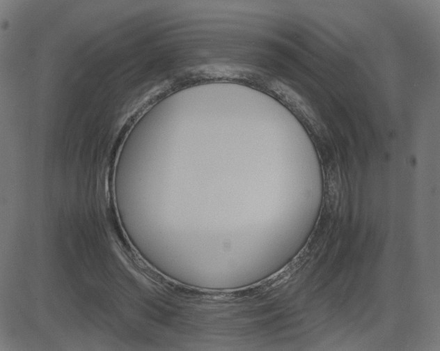 X0000082990398200702011149