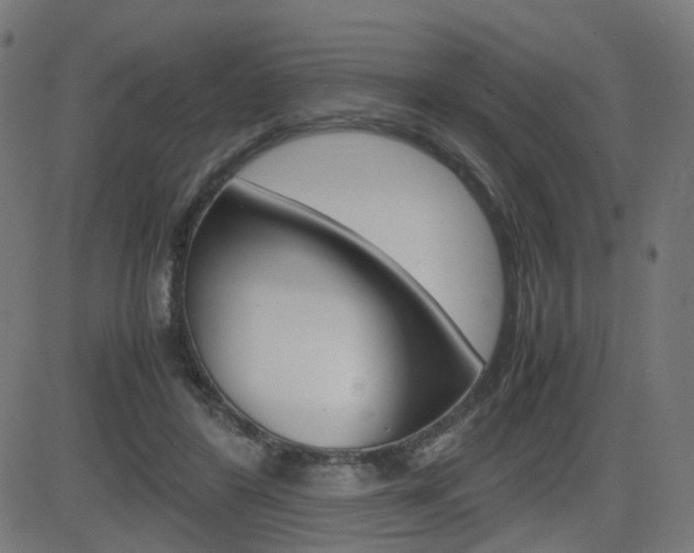 X0000082990404200702011149
