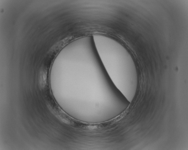 X0000082990406200702011149