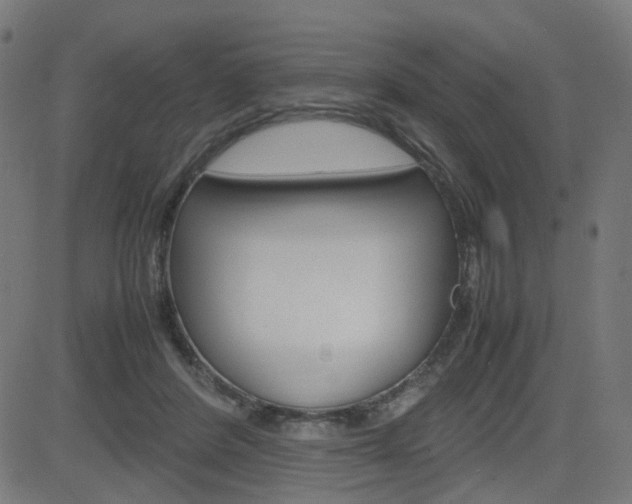 X0000082990408200702011149
