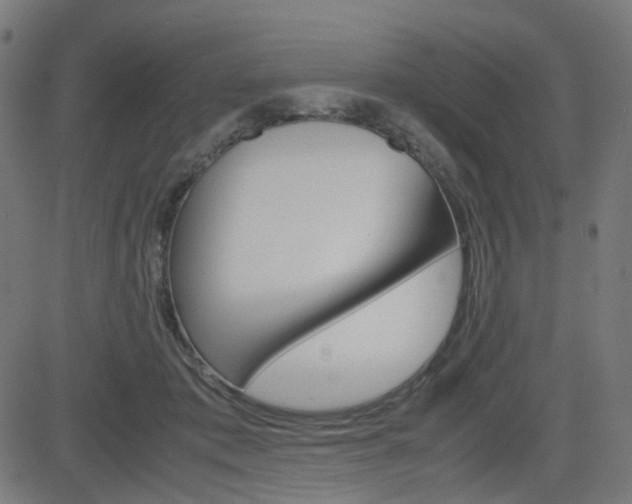 X0000082990413200702011149