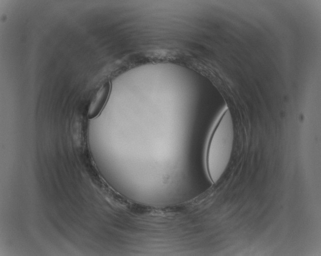 X0000082990416200702011149