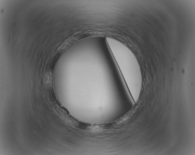 X0000082990425200702011149