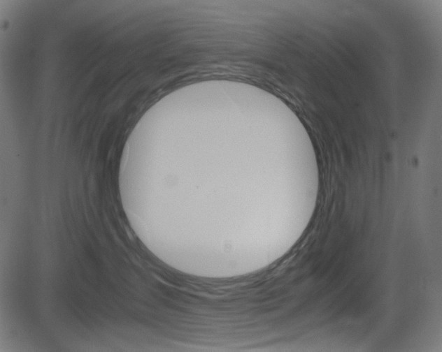 X0000082990431200702011149