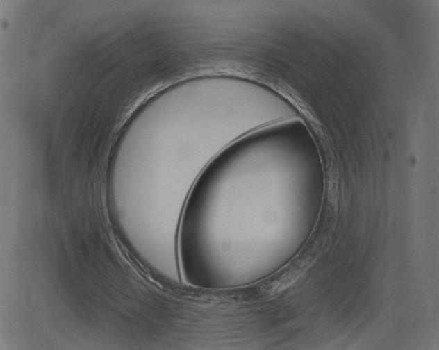 X0000082990434200702011148