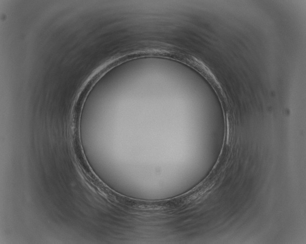 X0000082990435200702011148