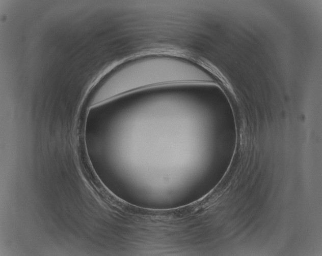 X0000082990436200702011148