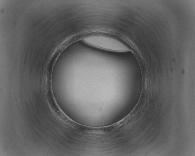 X0000082990444200702011148