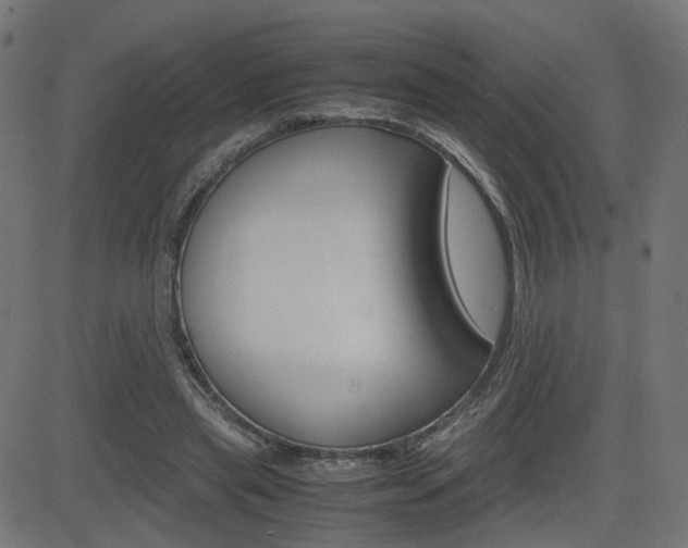 X0000082990445200702011148