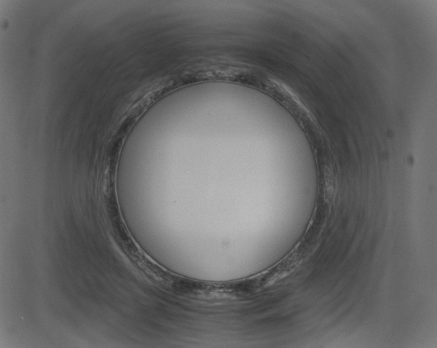 X0000082990451200702011148