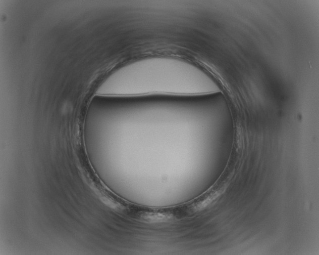 X0000082990453200702011148