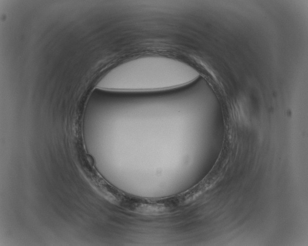 X0000082990455200702011148