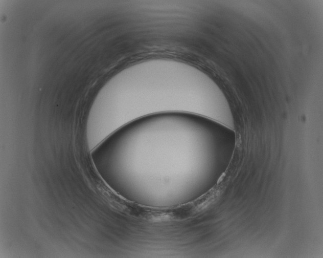 X0000082990456200702011148