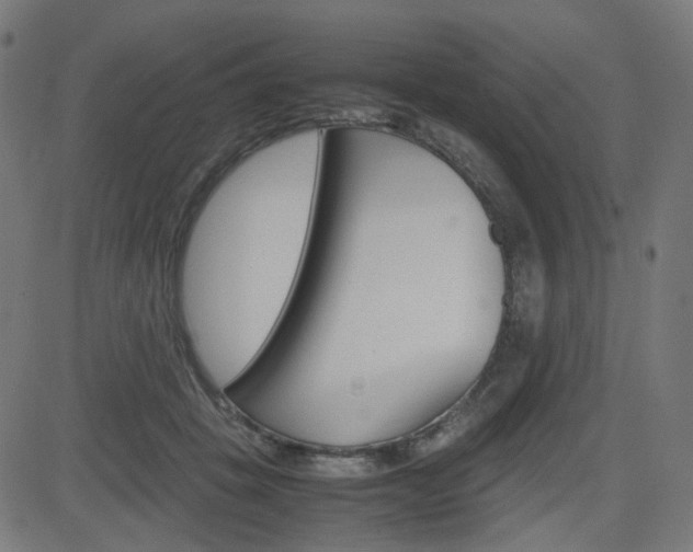 X0000082990457200702011148