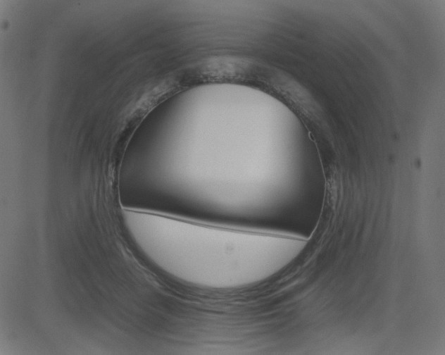X0000082990458200702011148