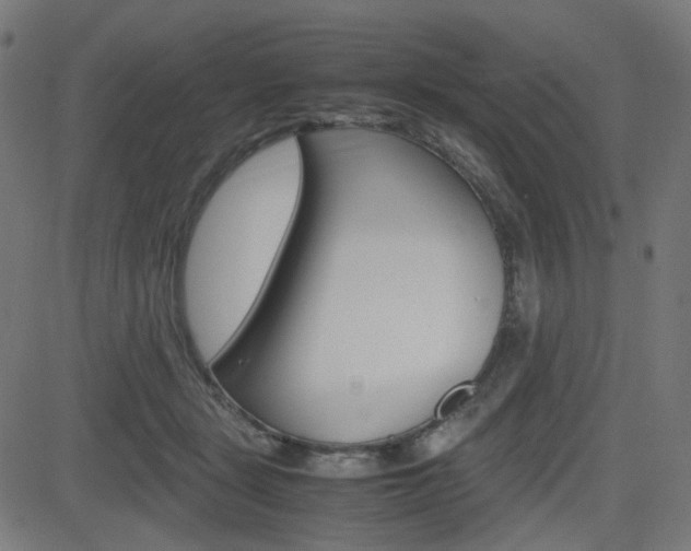 X0000082990461200702011148