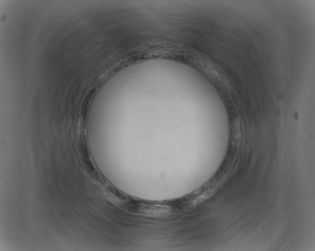X0000082990463200702011148
