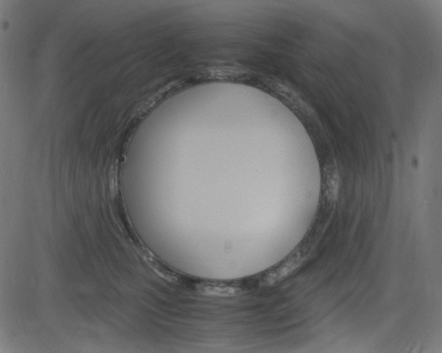 X0000082990471200702011148