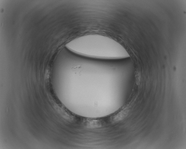 X0000082990472200702011148