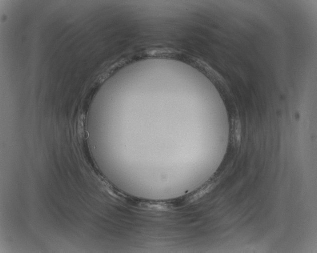 X0000082990475200702011148