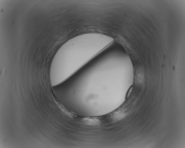 X0000082990477200702011149