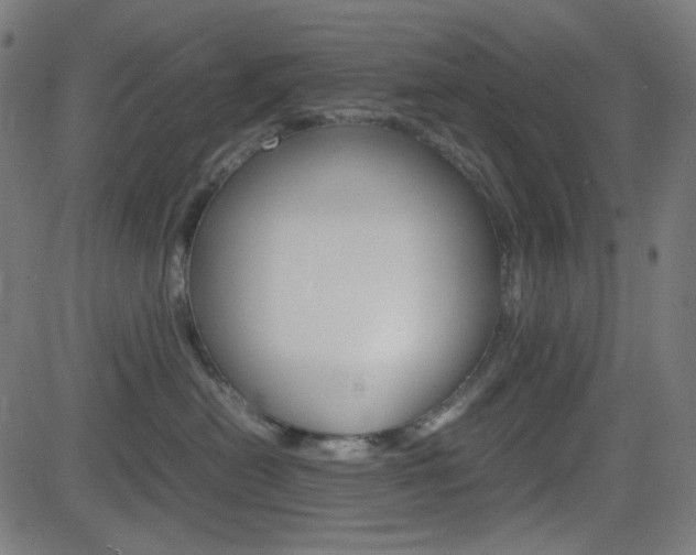 X0000082990478200702011149