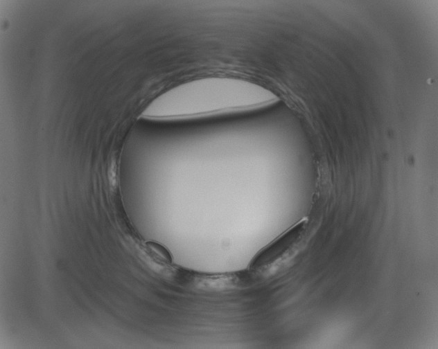 X0000082990479200702011149