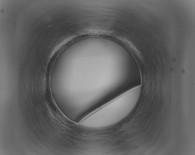 X0000082990488200702011148