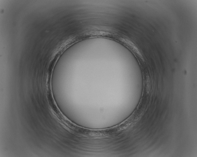 X0000082990490200702011148