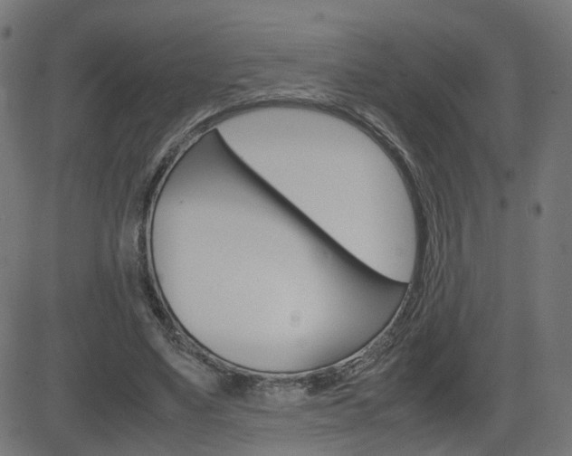X0000082990491200702011148