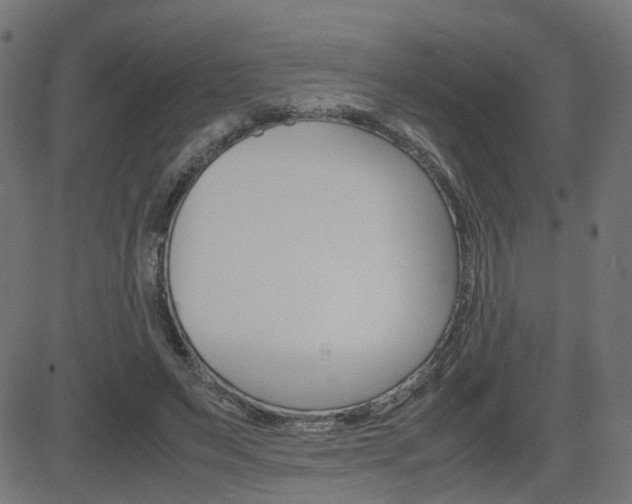 X0000082990495200702011148