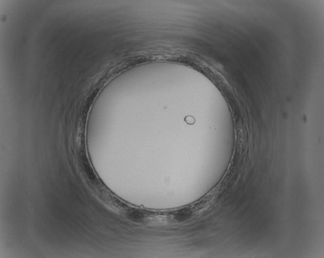X0000082990499200702011147