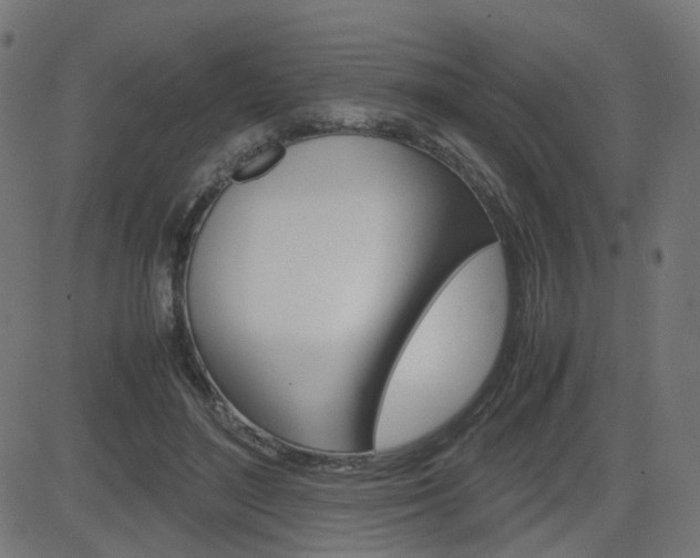 X0000082990500200702011147