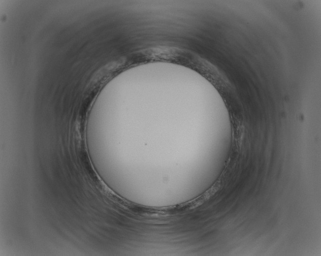 X0000082990506200702011147