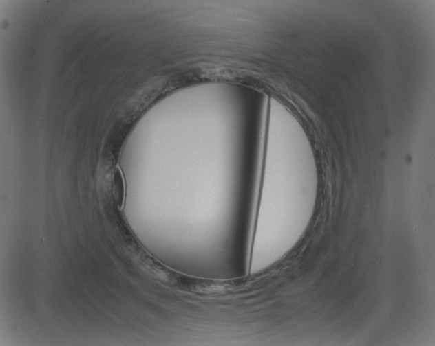 X0000082990513200702011147