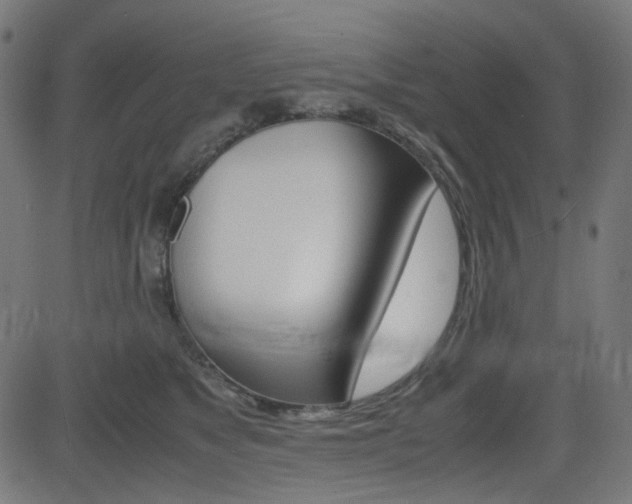 X0000082990517200702011147