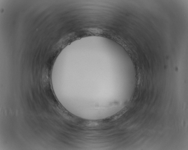 X0000082990518200702011147