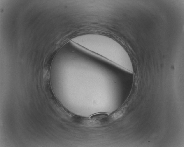 X0000082990521200702011147