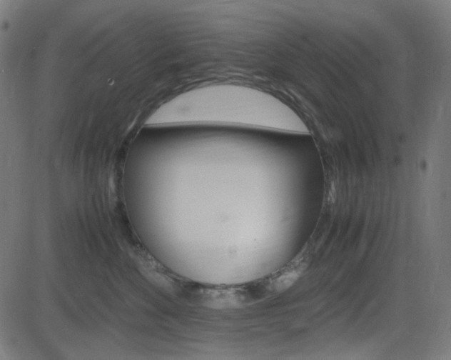 X0000082990524200702011147