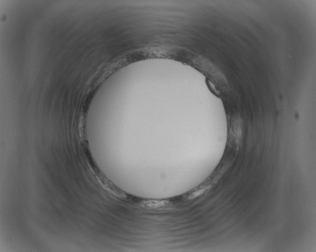 X0000082990526200702011147