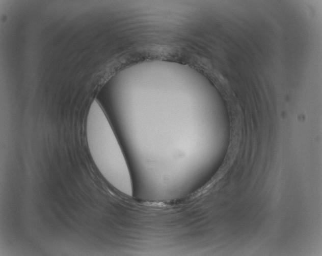 X0000082990528200702011147
