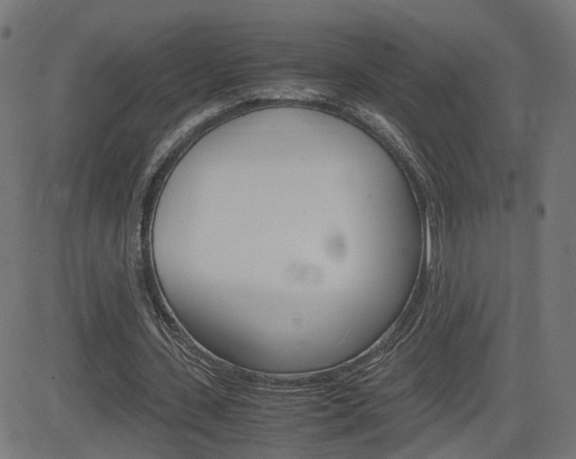 X0000082990531200702011146