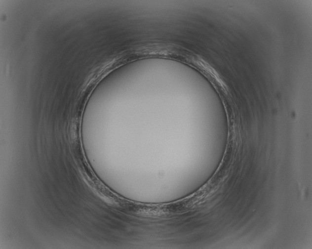 X0000082990537200702011146