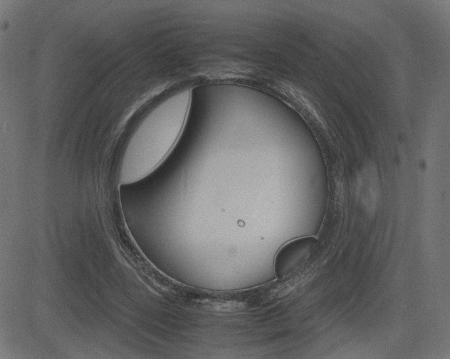 X0000082990539200702011146
